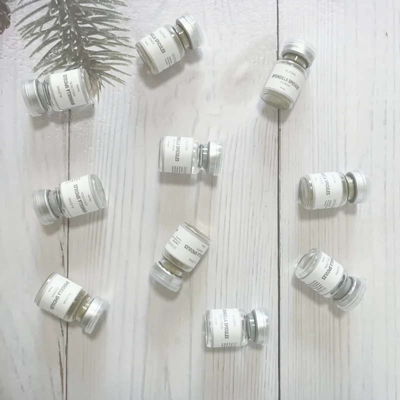 Algae Peeling Sponge Spicule Bio-Micro-needling Kit Brown Algae Natural Extract Ance Removal Deep Nourishing For Skin Care