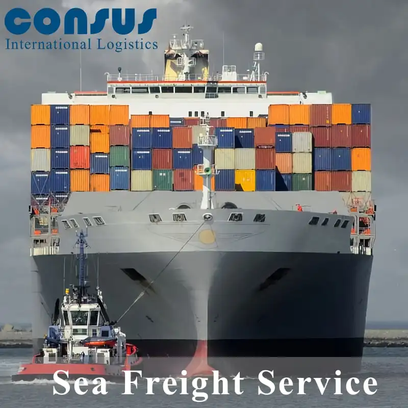 Professional Sea Freight Forwarder Shipping Agent from China to USA FOB