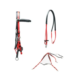 Horse Equipment Equestrians Horse Endurance Full Set with halter rein breastplate