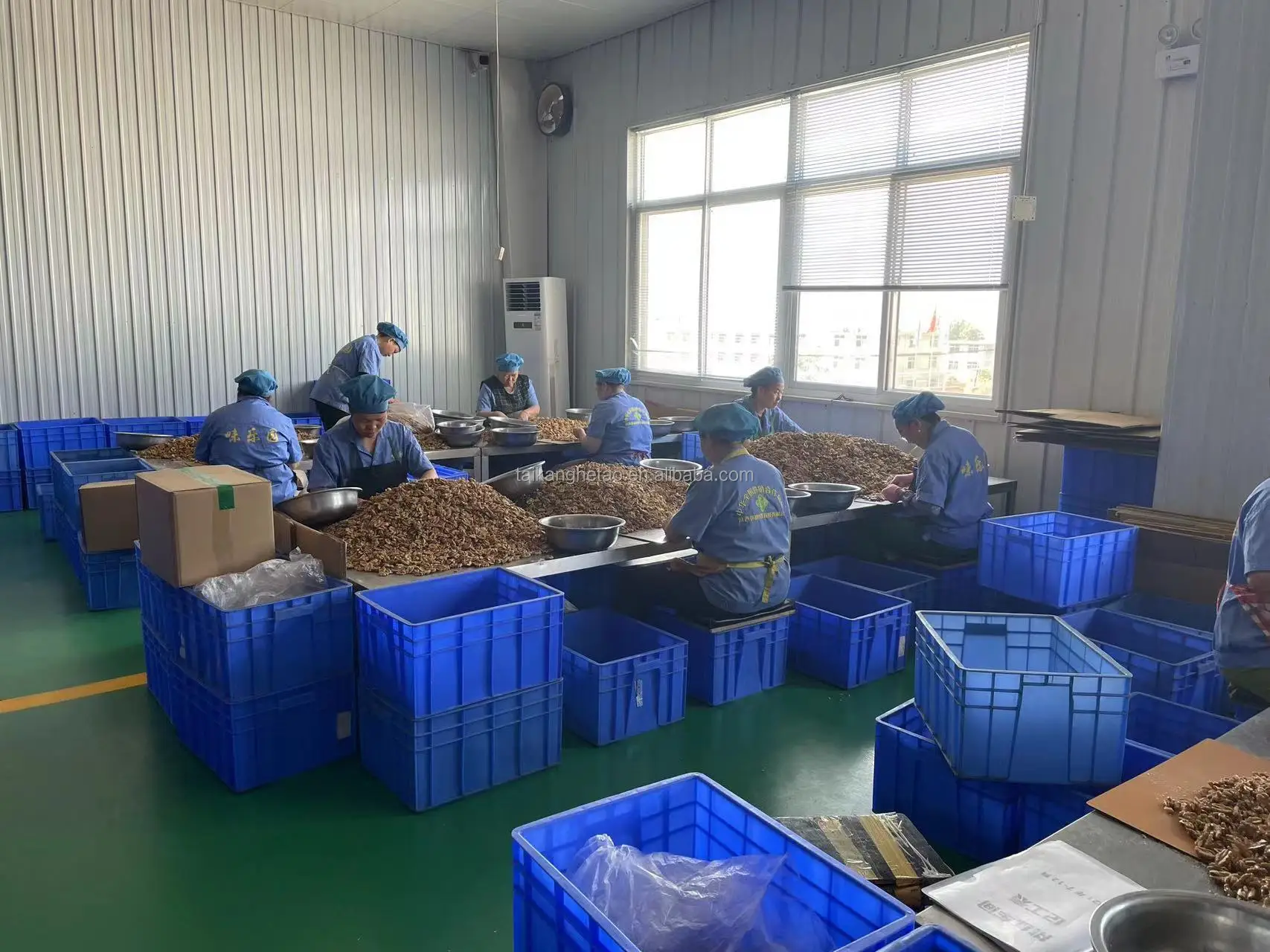 China Wholesale Yunnan Original 185 Walnuts 33mm Food Carton Packaging From Shaaxi Xian City Low Raw Material Shell 3A