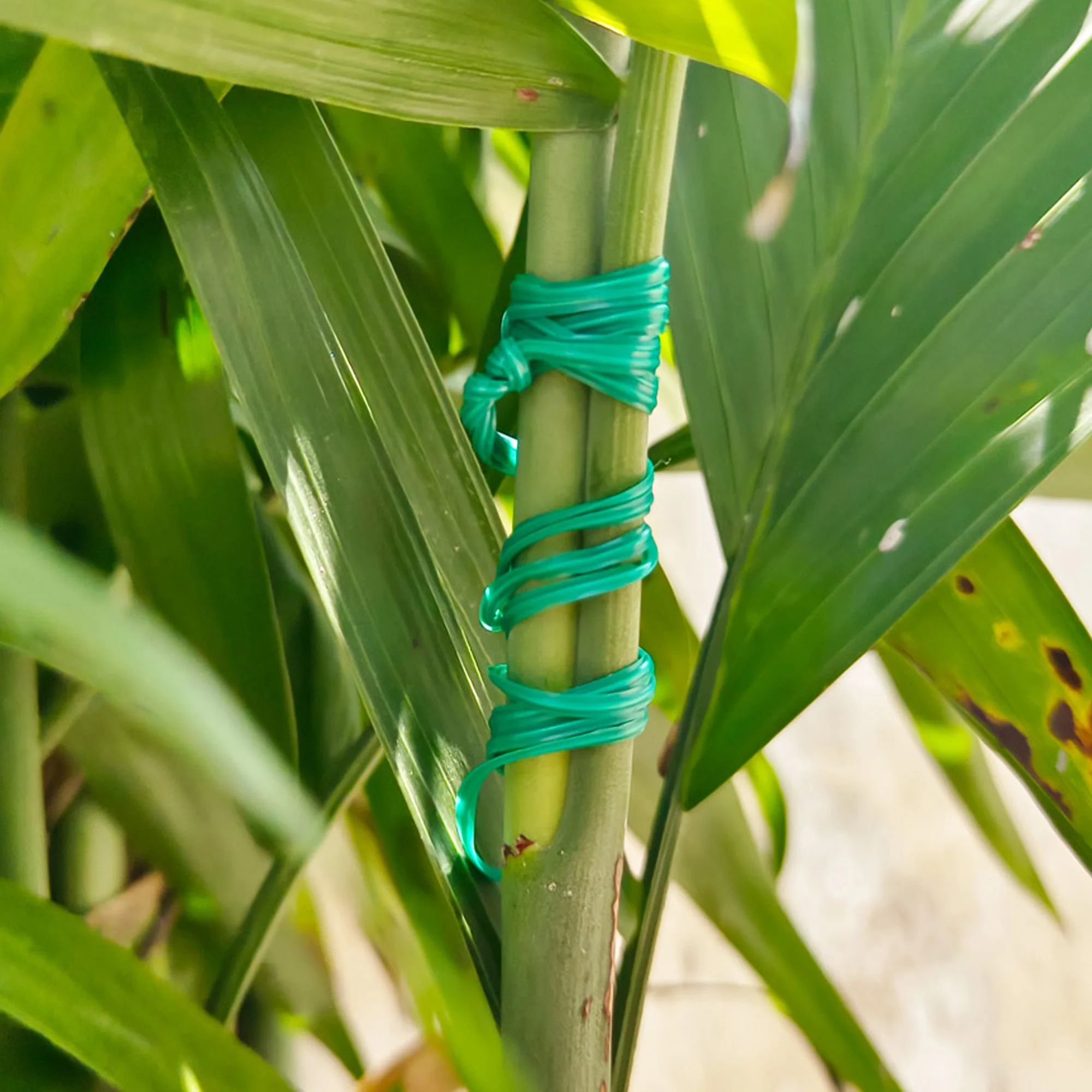Supplies Gardening Wire Cutter Cable Tie Plastic Coated Garden Plant Twist Wire Ties