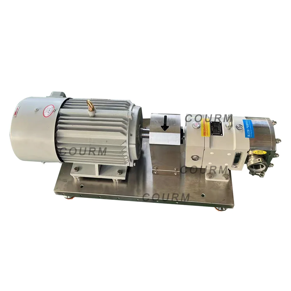 Electric Cooking Oil Pump Stainless Steel 304/316 Rotary Transfer Pump Motor Liquid Centrifuge Pump Drinking Water Treatment