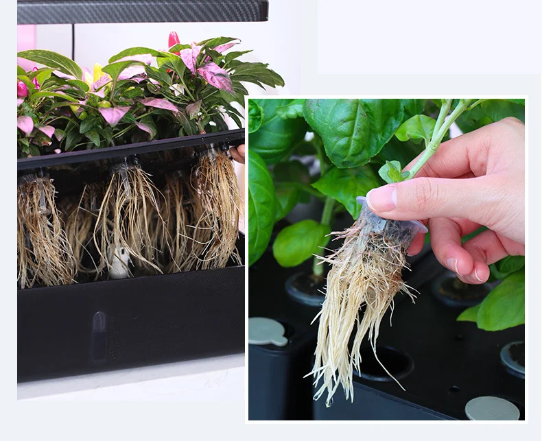 Hot Sale Growth Sponges Hydroponic Growing Germination Kits Plants Seedling Starter Grow Sponges