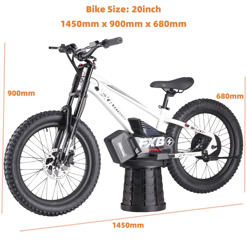 2025 Popular 20 Inch e Balance kids Bikes For 18 Year Old Run-Flat Tires Electric Balance Bike