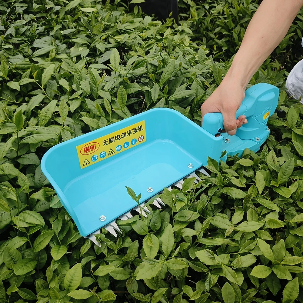 new technology  Waterproof  tea collection machine Electric cordless tea picking machine Tea Harvester Plucking