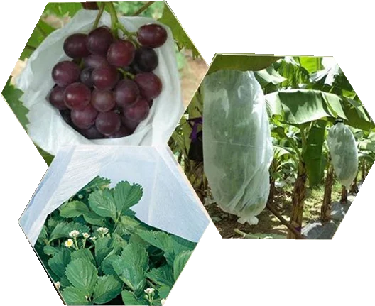PP Spunbond Nonwoven Fabric Frost Protection Bags  for Greenhouse