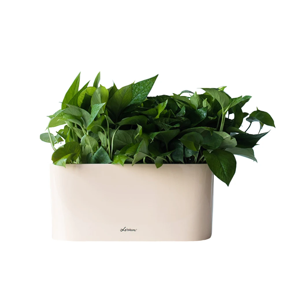 Self Watering Modena Windowsill Planter and Herb Garden China manufacture