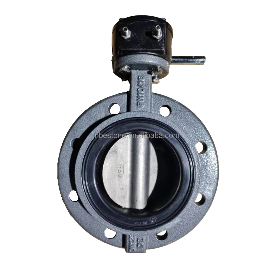 DN125 Single flange Marine boat butterfly valve Soft backrest butterfly valve EPDM NBR replaceable seat  150LB CF8 disc