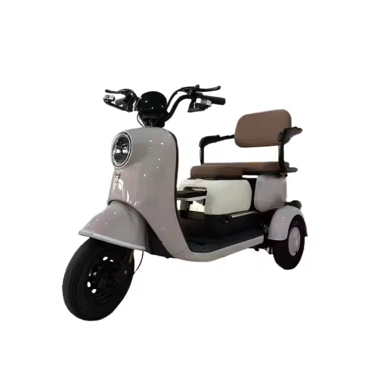 Export high-quality Alloy 3Wheel electric tricycles ebike scooter motor 600W battery 48V/60V 20AH for Families