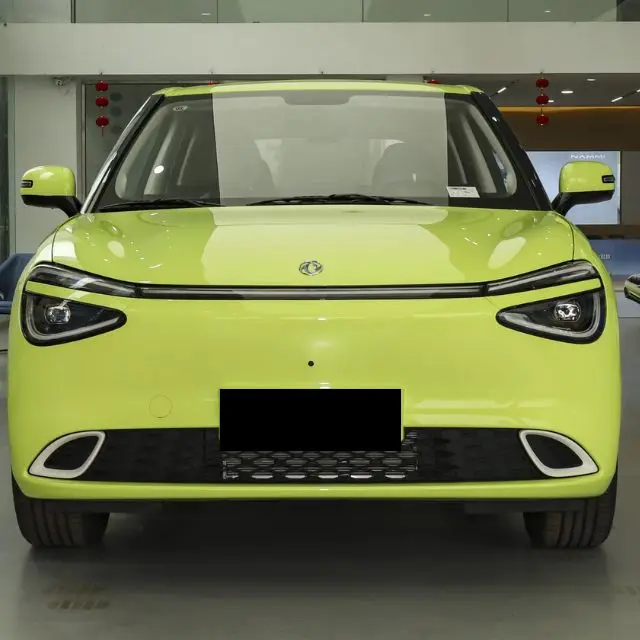 Hot Sale Dongfeng NAMI 01 Electric Four-Wheel nano Vehicle High Speed 330/430KM EV New Energy Car