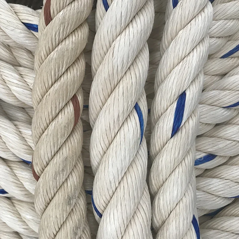 Best Selling- PP, PE Rope-Color-Aquaculture Rope -3,4,Strands From China