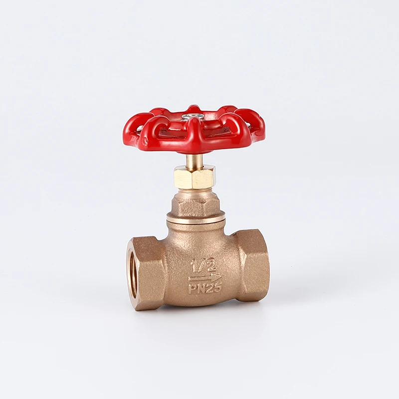 Bronze globe valve  Water switch valve home marine water pipeline bronze globe valve