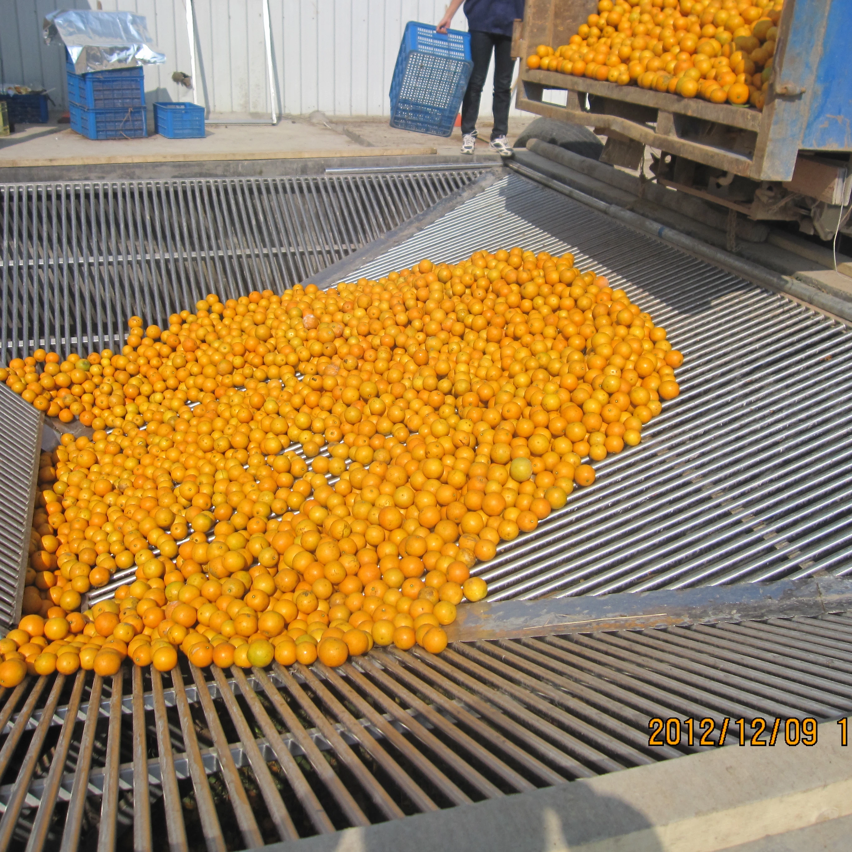 Turnkey project full automatic orange citrus mandarin juice processing line/orange concentrated juice line