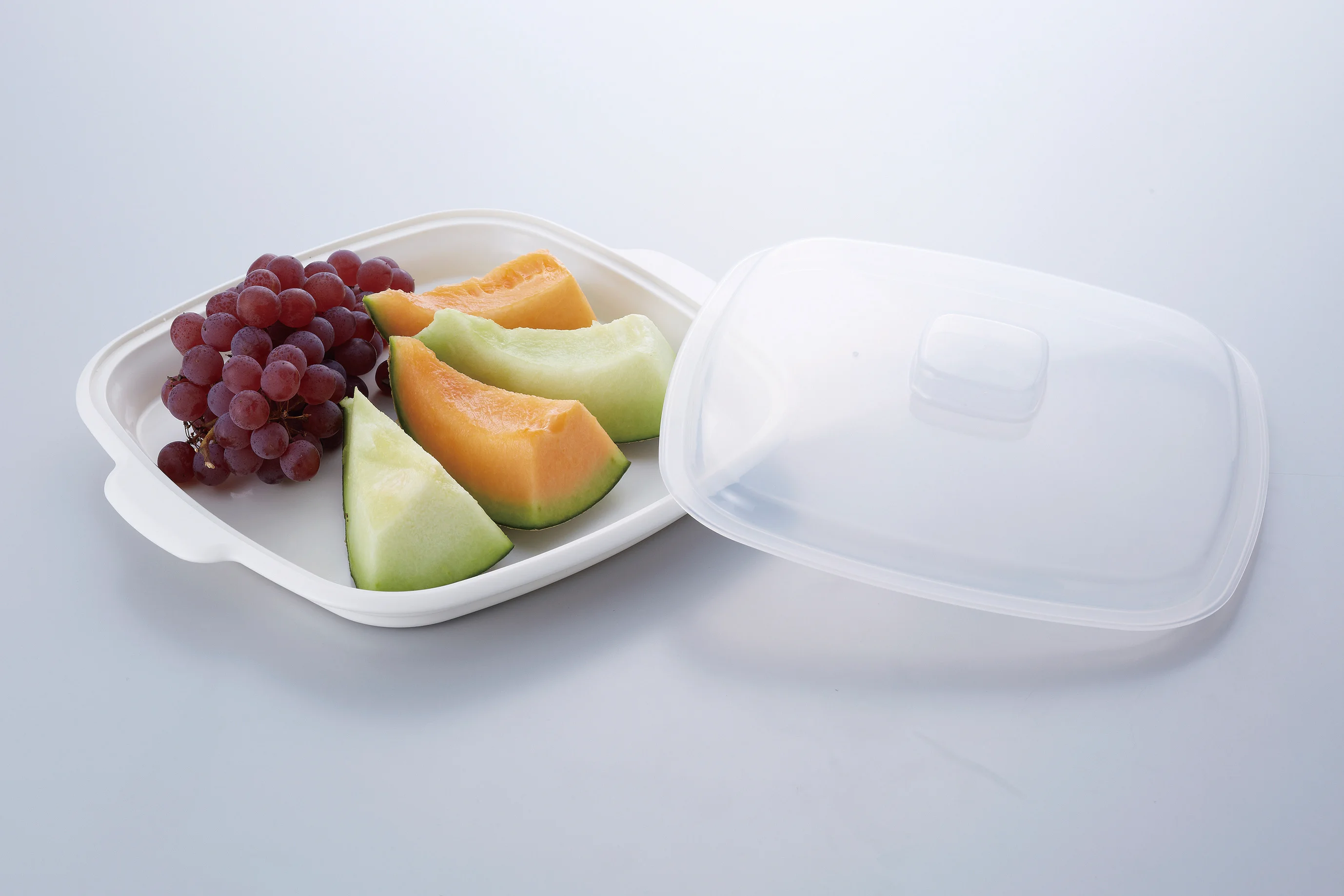 Japanese wholesale high quality microwave egg electric food steamer