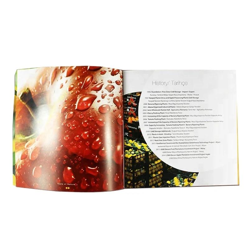 Индивидуальный Размер A5 A4 A3 ламинированный складной Каталог брошюра с гармошкой услуги офсетной