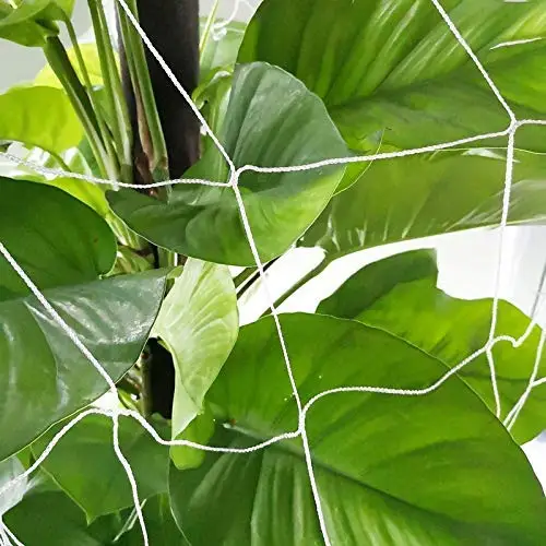 Bitter melon trellis netting Passion fruit trellis netting Vines grow trellis netting