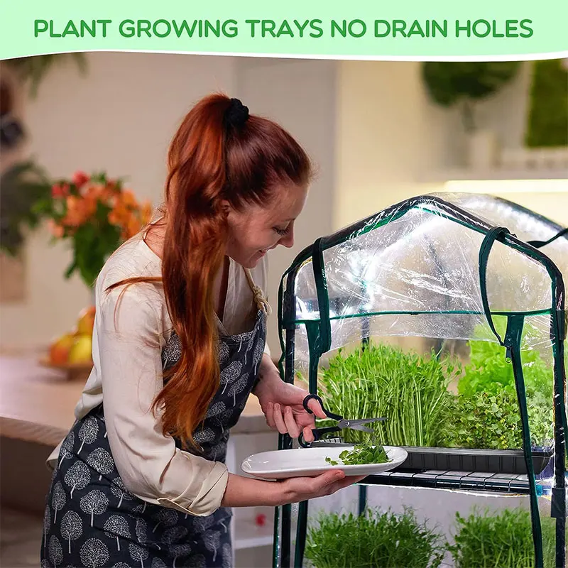 Garden plant nursery seed starter trays growing seed trays planting