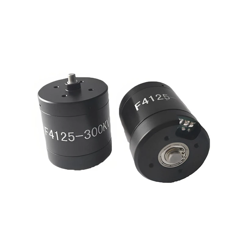 Waterproof Motor Faradyi Custom Customized High Quality 14.8v 178w Brushless Motor Permanent Magnet Waterproof Engine Electric