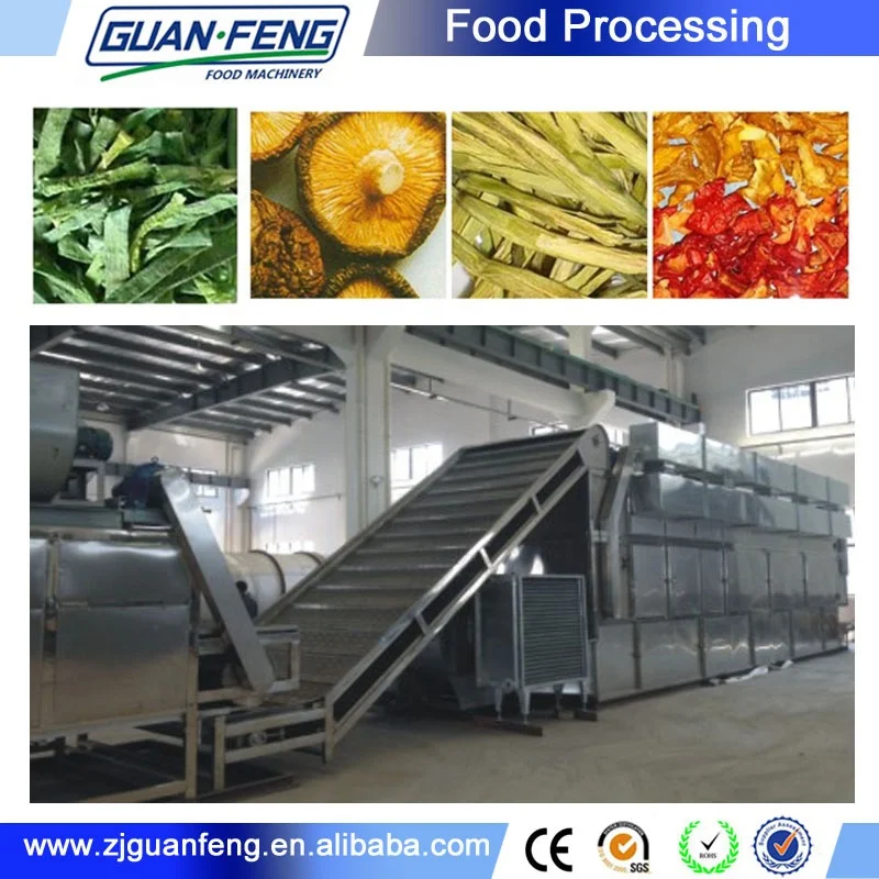 Garlic drying line ginger powder making machine Belt Dryer