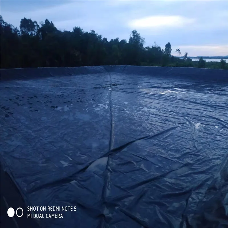 Free sample dam liner geomembrane hdpe geomembrane hdpe film
