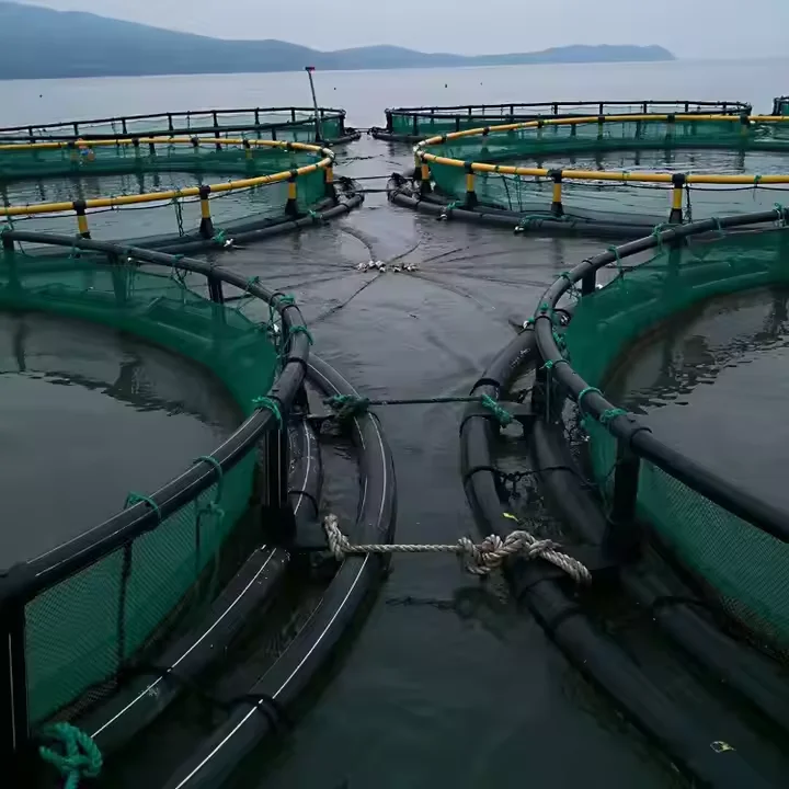 Hdpe Fish farming Cage Competitive Price Durable Aquaculture And Seafood Farms New Style Custom Designs China Manufacturer
