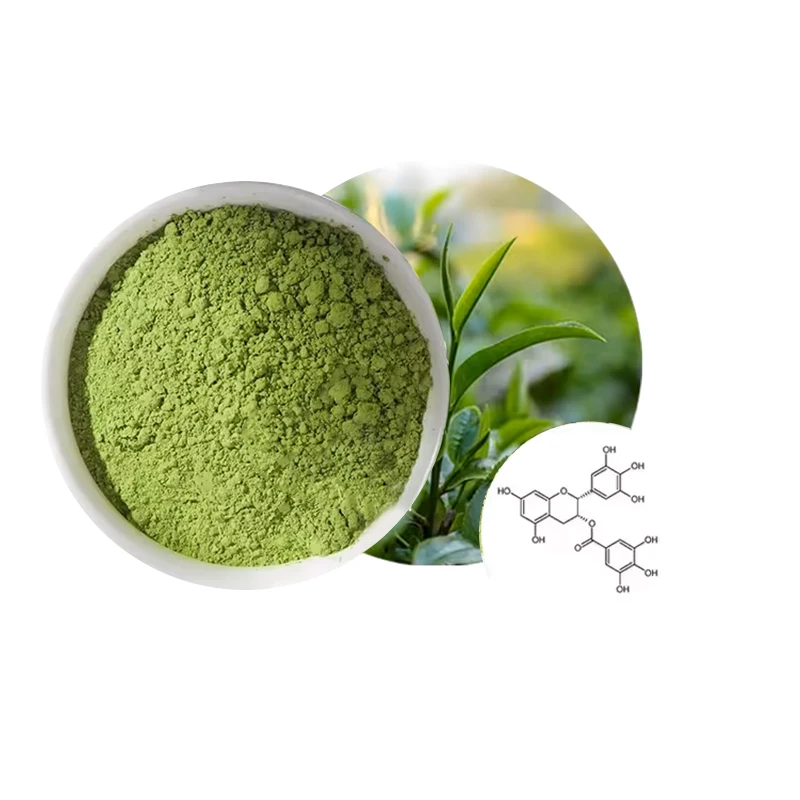 Высококачественный порошок зеленого чая Matcha обеспечивает различные преимущества для здоровья идеально подходящие напитков десертов и выпечки