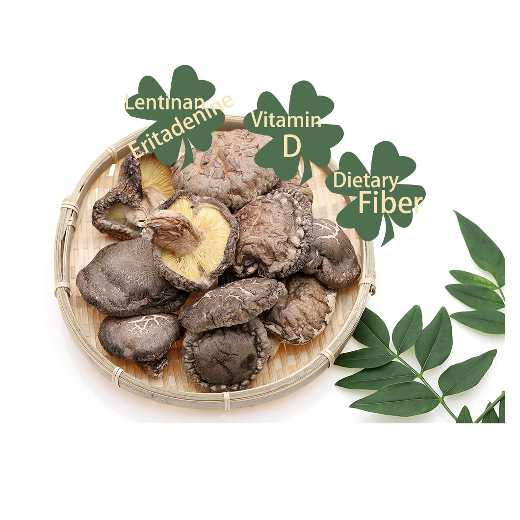 Blood pressure reduction dietary fiber gastrointestinal functioning improvement dry shiitake mushroom