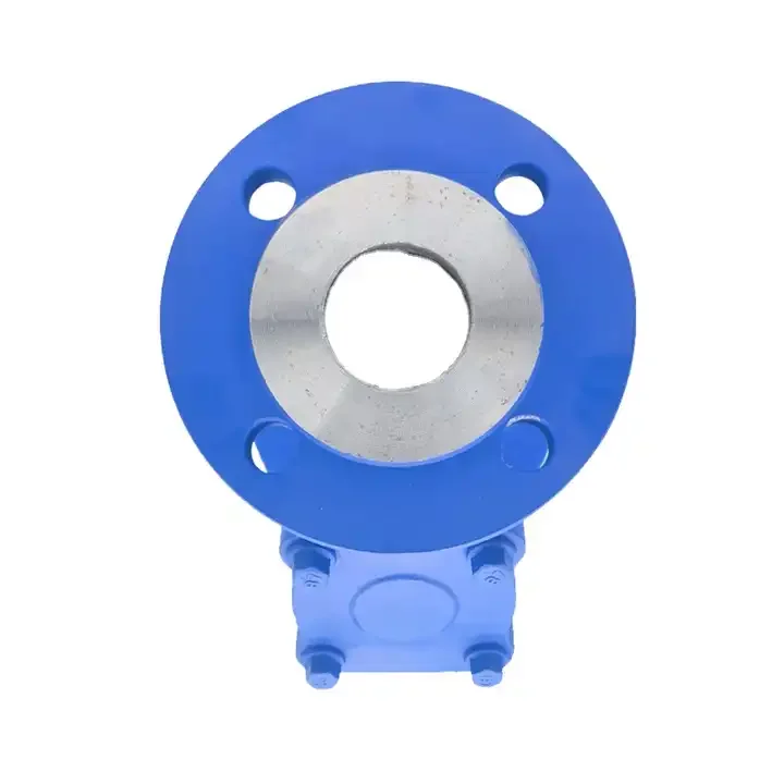 High Quality Flange Y Strainer Carbon Steel Carbon Steel  Y Strainer