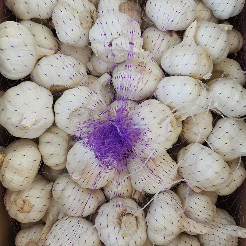 2020 New Crop High Quality China Chinese Best Wholesale White Fresh Garlic for Sale