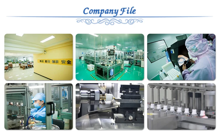 Company File