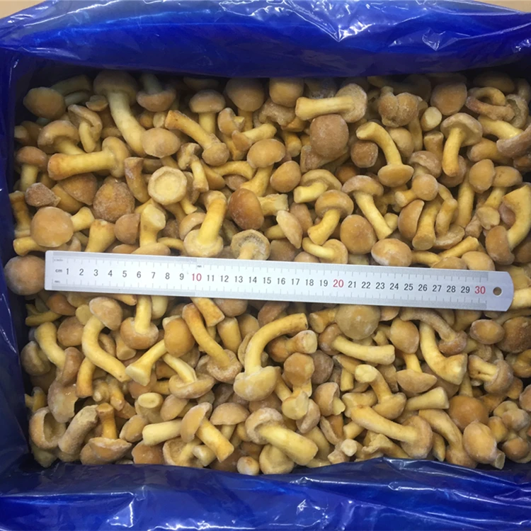 Низкая цена оптовая продажа быстрозамороженные высококачественные грибы nameko