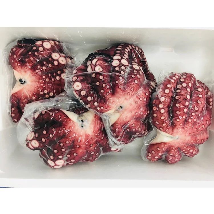 
10kg carefully steamed cheap price of fresh seafood octopus indonesia 