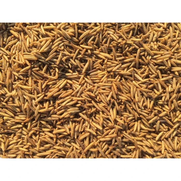 high protein dried  black soldier fly larvae for animal food pet food