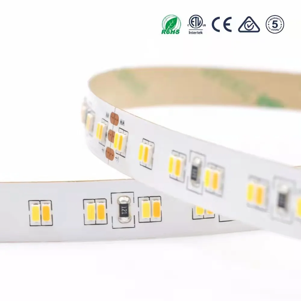 SMD2835 DC12V DC24V Top Quality High Brightness RGB LED Strip Light With High Density