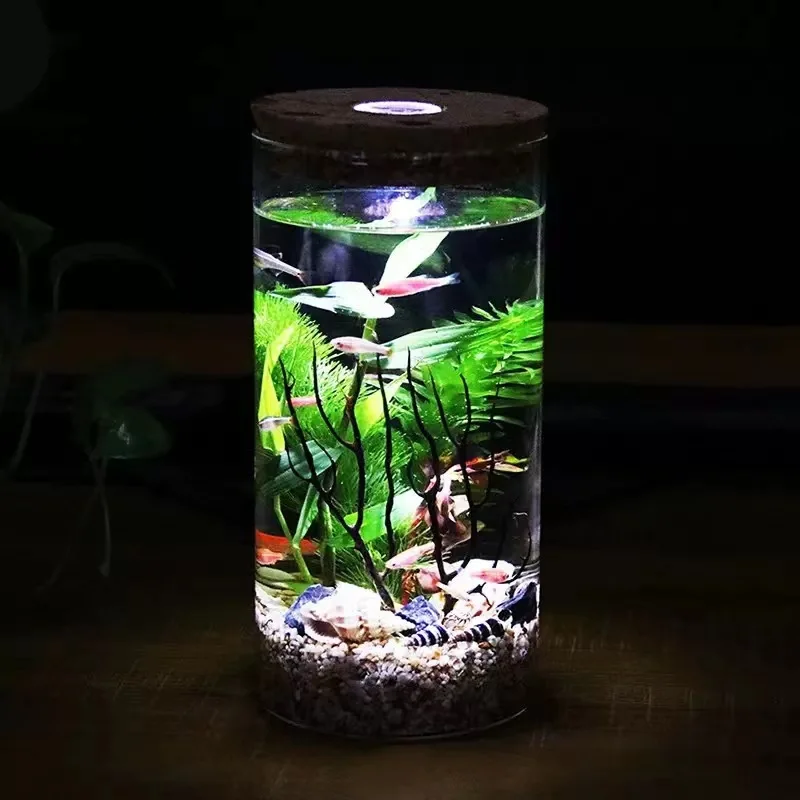 Nordic Tall Cylinder Clear Glass Vase Home Decor Wedding Desktop Micro Landscape Tree Bonsai Small Tabletop Vase Transparent