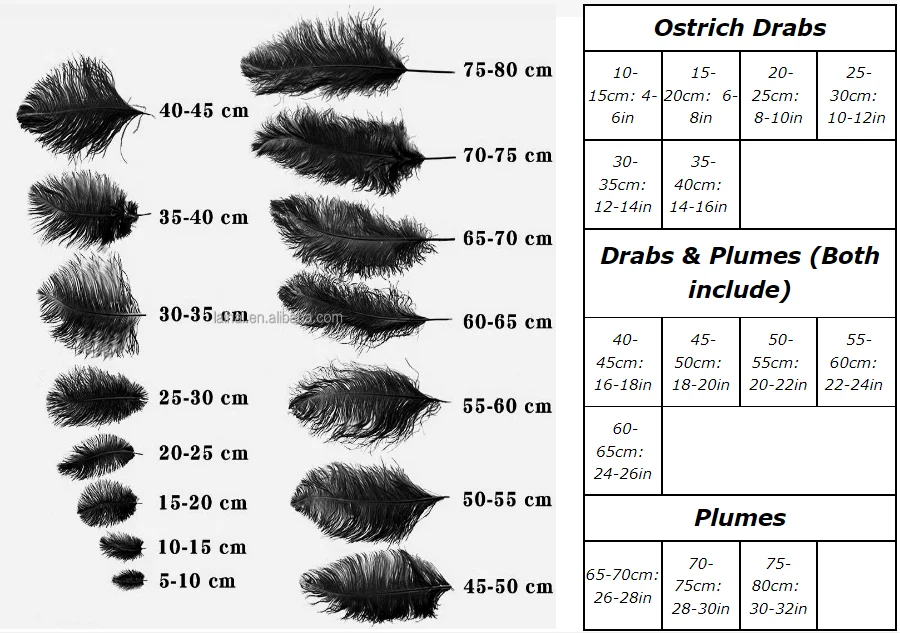 High quality 70-75cm Large Thick Ostrich feathers wing plumes Dyed carnival feathers for wedding samba dance costume decoration