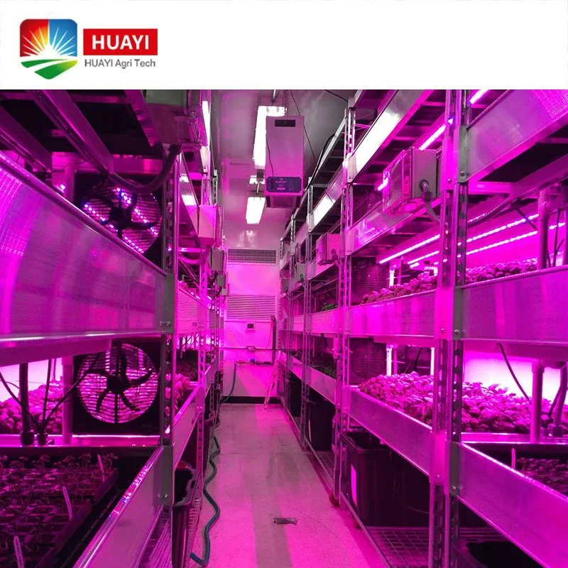 Intelligent Vertical NFT Hydroponic System Farm Planting Container with LED Lights