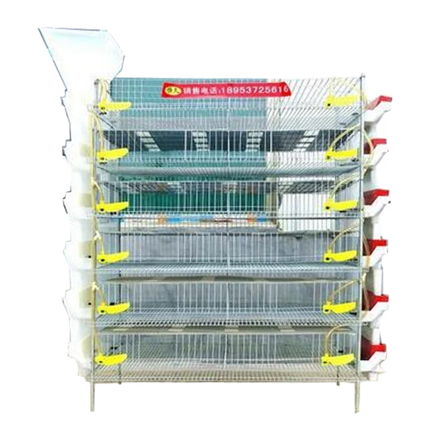 
Quail farming Raise quail cage quail egg cages with automatic feeder system 