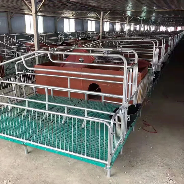 Animal cage European type  pig farming equipment double pig farrowing crate pig cages