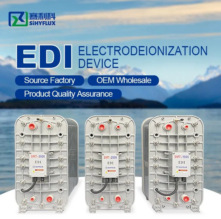 UF NF China Electrodeionization EDI Pure Water Purification System Treatment Plant for Chemistry lab/Medicine/Microelectronics