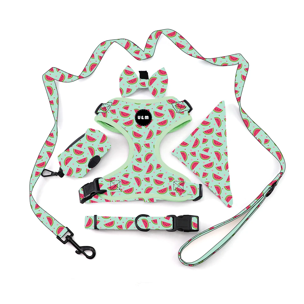 High Quality Adjustable Designer Soft Comfortable Collar Leash Neoprene Pet Dog Harness Set