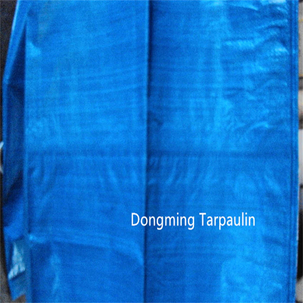 Factory Supply Blue 50gsm Light Weight PE Tarpaulin Plastic Tarpaulin Canvas Price for General Purpose Dust Sheet