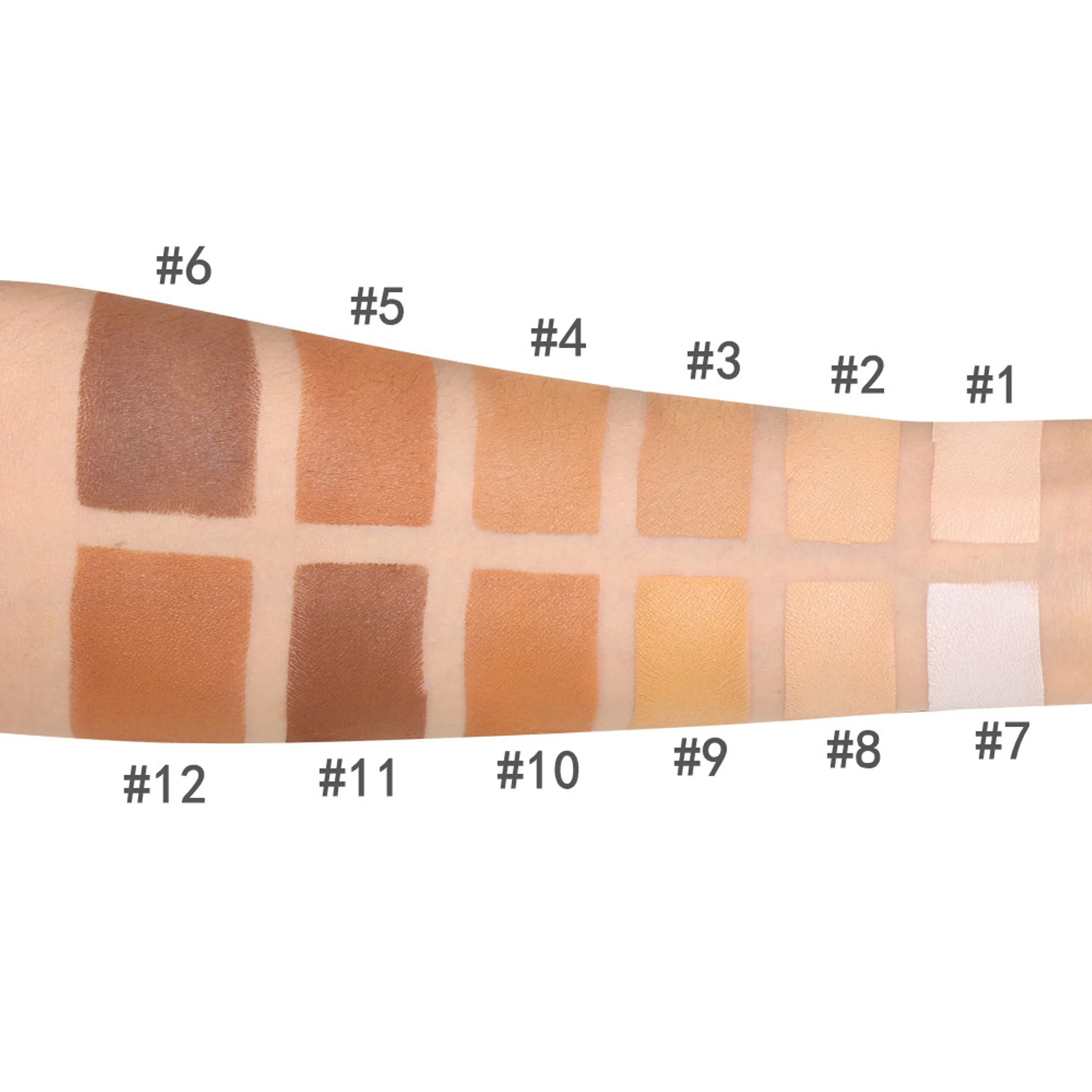 Concealer New Arrival Accept Small Orders 12 Colors Long Lasting Makeup Loose Foundation Face Powder no logo