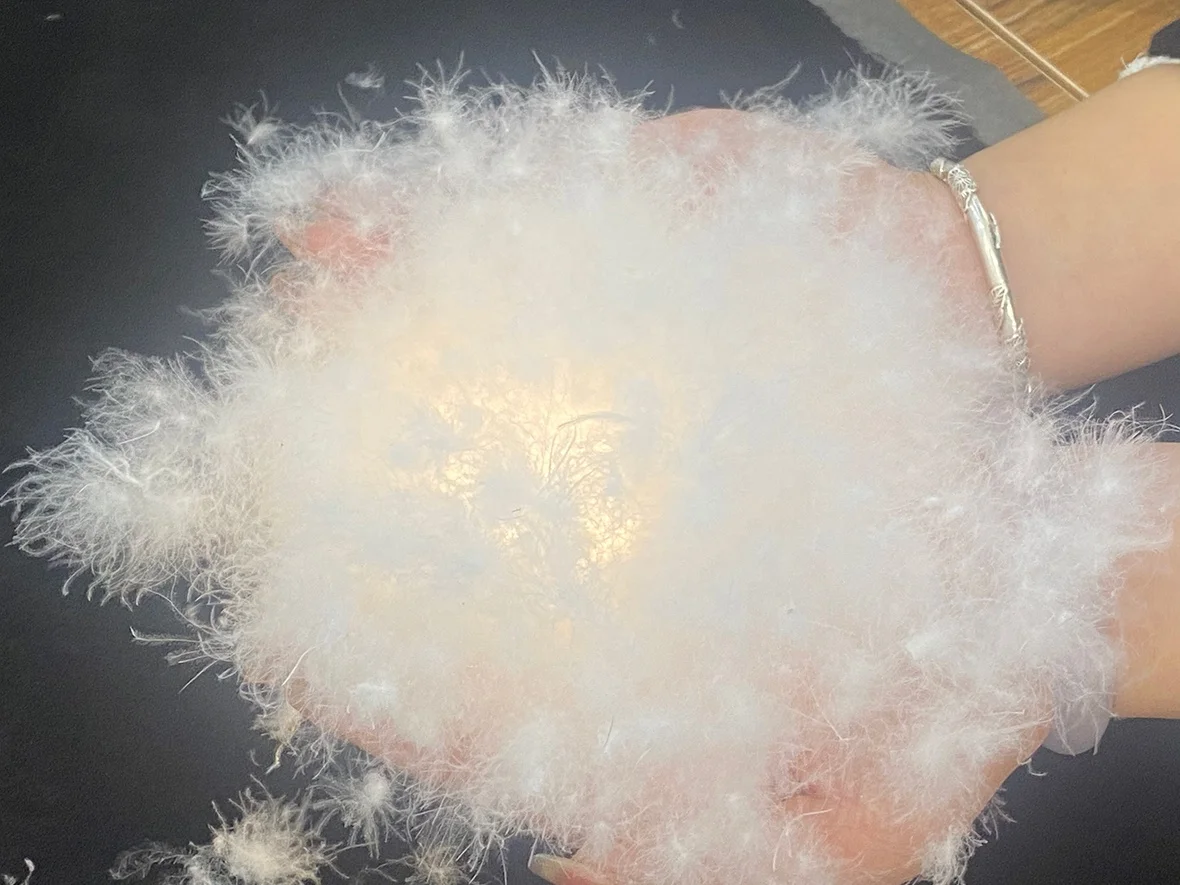 Affordable price, quality down jacket/down comforter filling raw materials supply wholesale