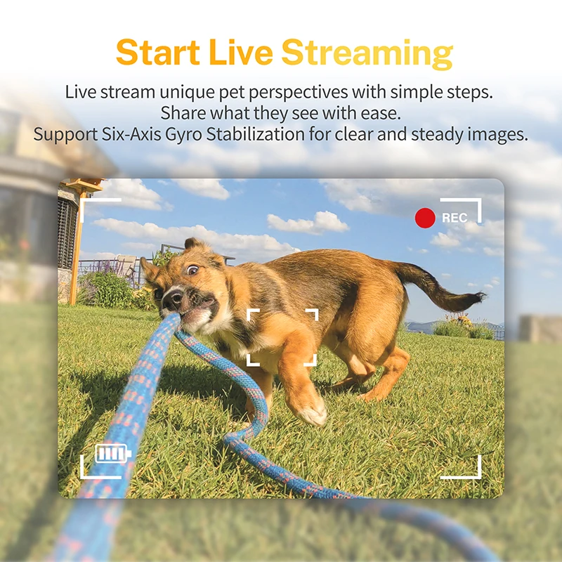 Low MOQ Pet smart Camera Tracker Advanced Multi-Functional pet  4G GPS tracker Collar Camera for Dogs pet cats live videos