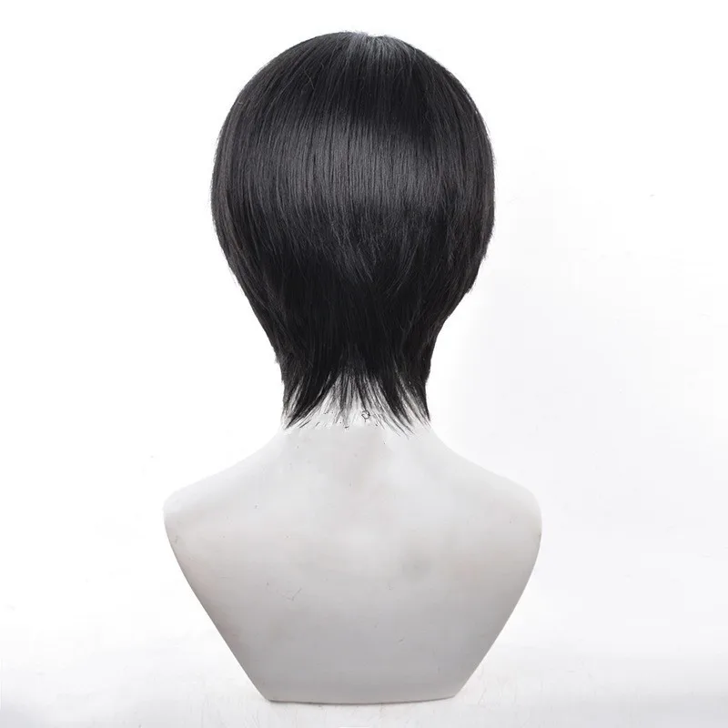 Wholesale Levi Ackerman Wig Cosplay 30cm Short Black Straight Attack on Titan Anime Peluca Synthetic Halloween Party Hair Wig