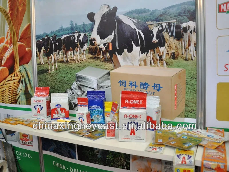 Optimize Feed Conversion in Cattle Feed Yeast: For Efficient Beef Production Choose Our Feed Yeast