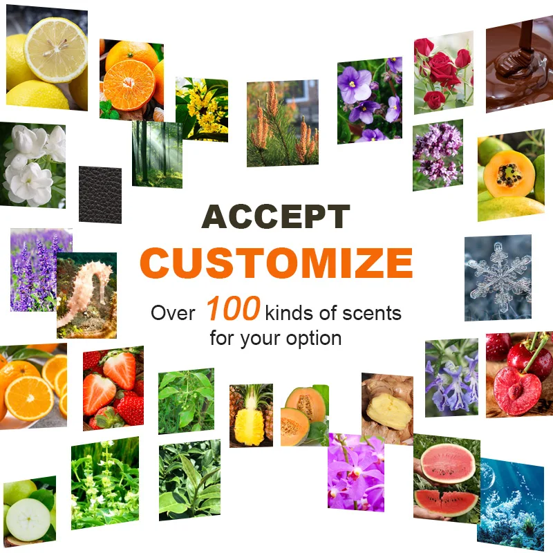 Low MOQ Coffee Bean Air Freshener Paper Card Funny Car Fragrance Car Interior Air Freshener Scents