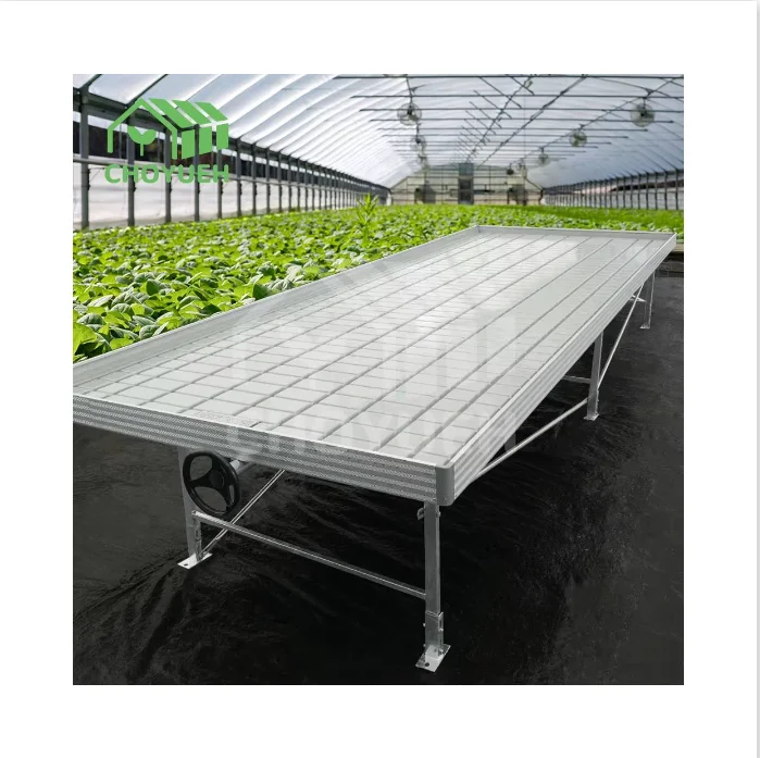CHOYUEH A innovative solution for enhanced seedling production peanut seedlings the efficient rolling seedbed greenhouse seedbed
