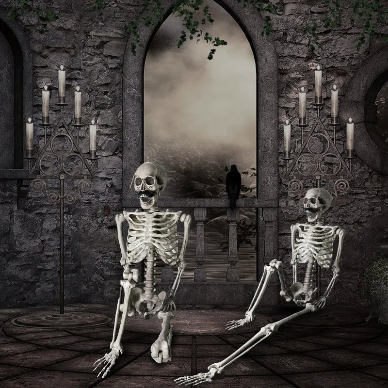 Flexible Life Size 165CM Anatomy Plastic Halloween Human Skeleton For Sale
